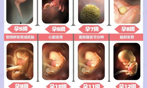 怀孕期间会变黑吗-专业乙肝患者可以吃茄子吗平台-方得人心的意思
